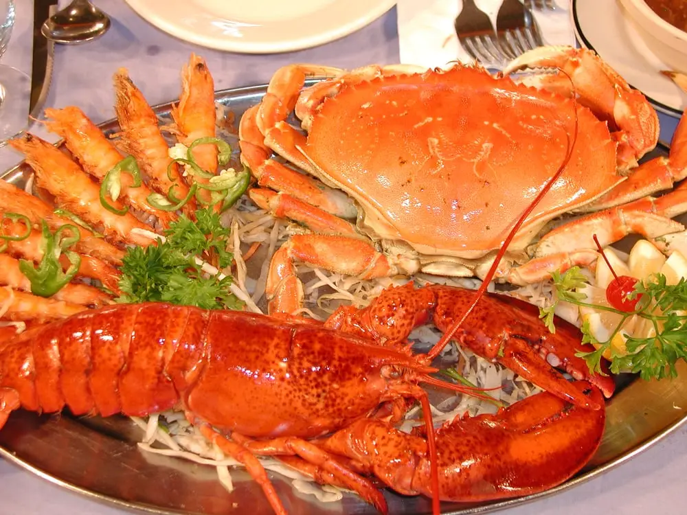 Shrimp and Lobster1.webp